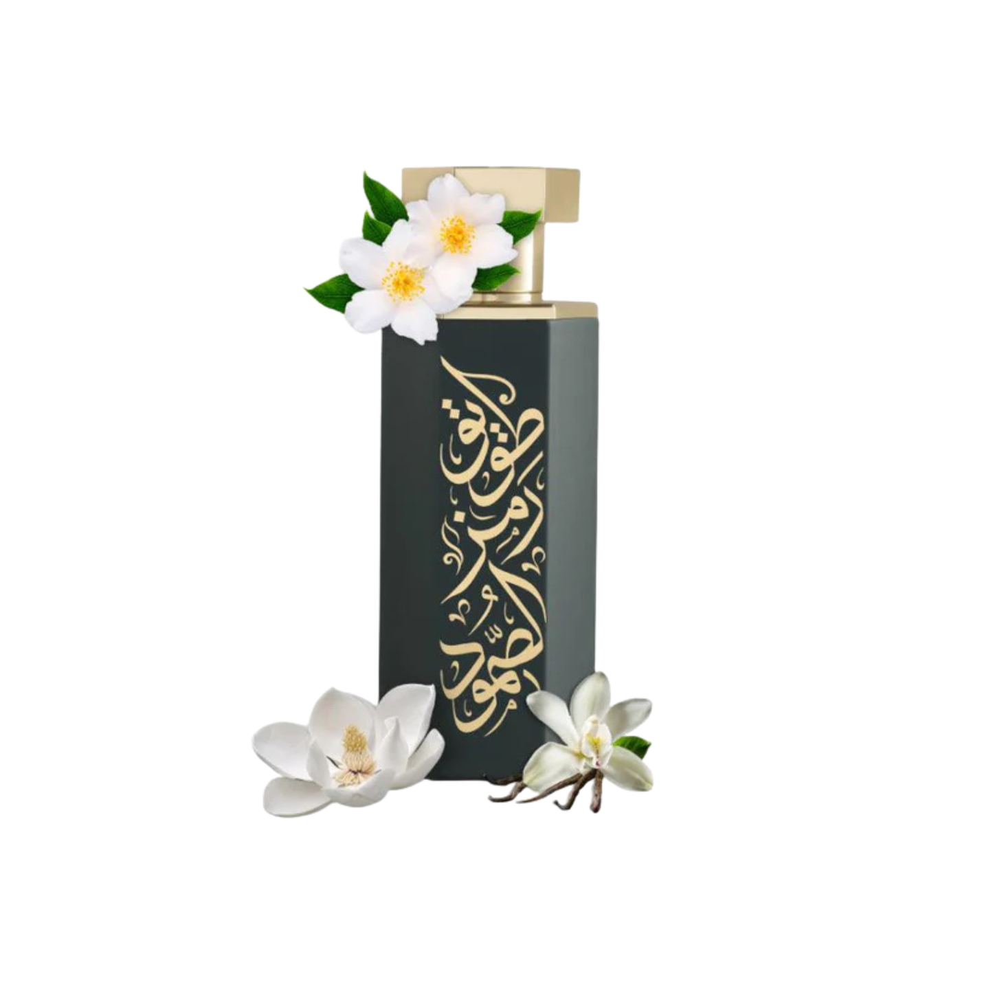 REEF - Tuwayq Arabs | 100 ml